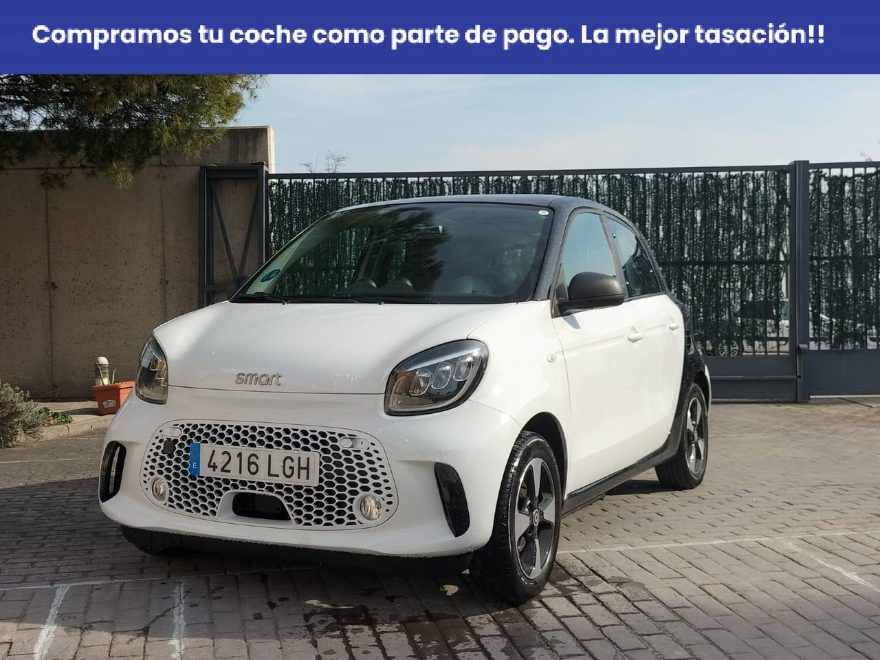 Foto Smart Forfour 5