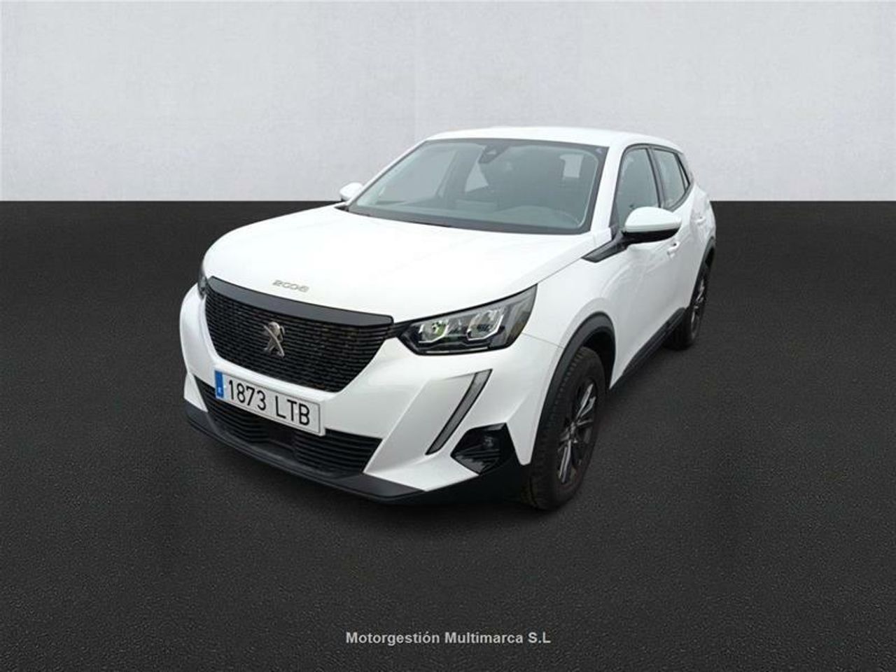 Foto Peugeot 2008 1