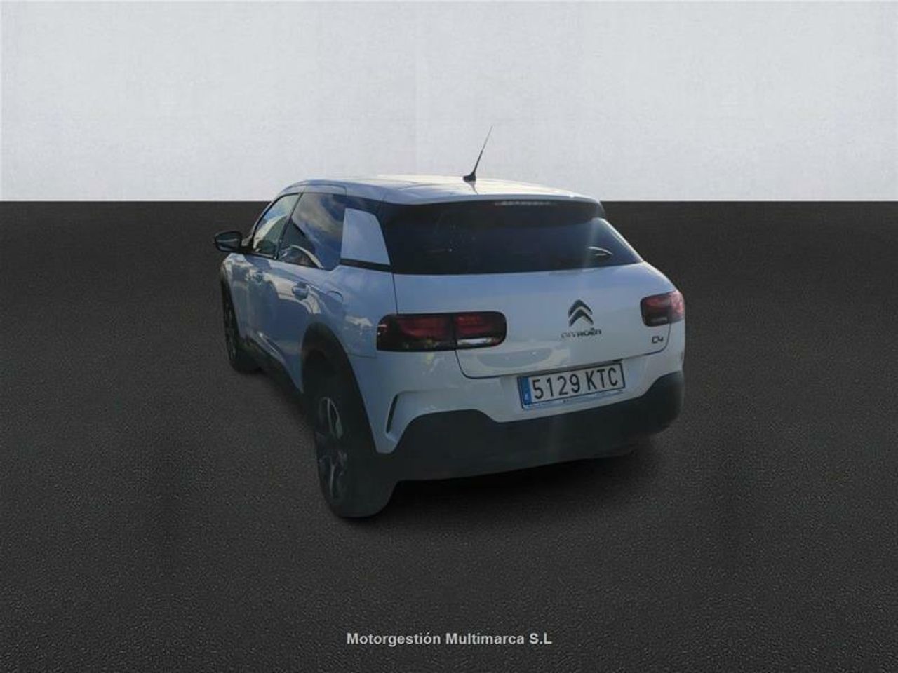 Foto Citroën C4 Cactus 6