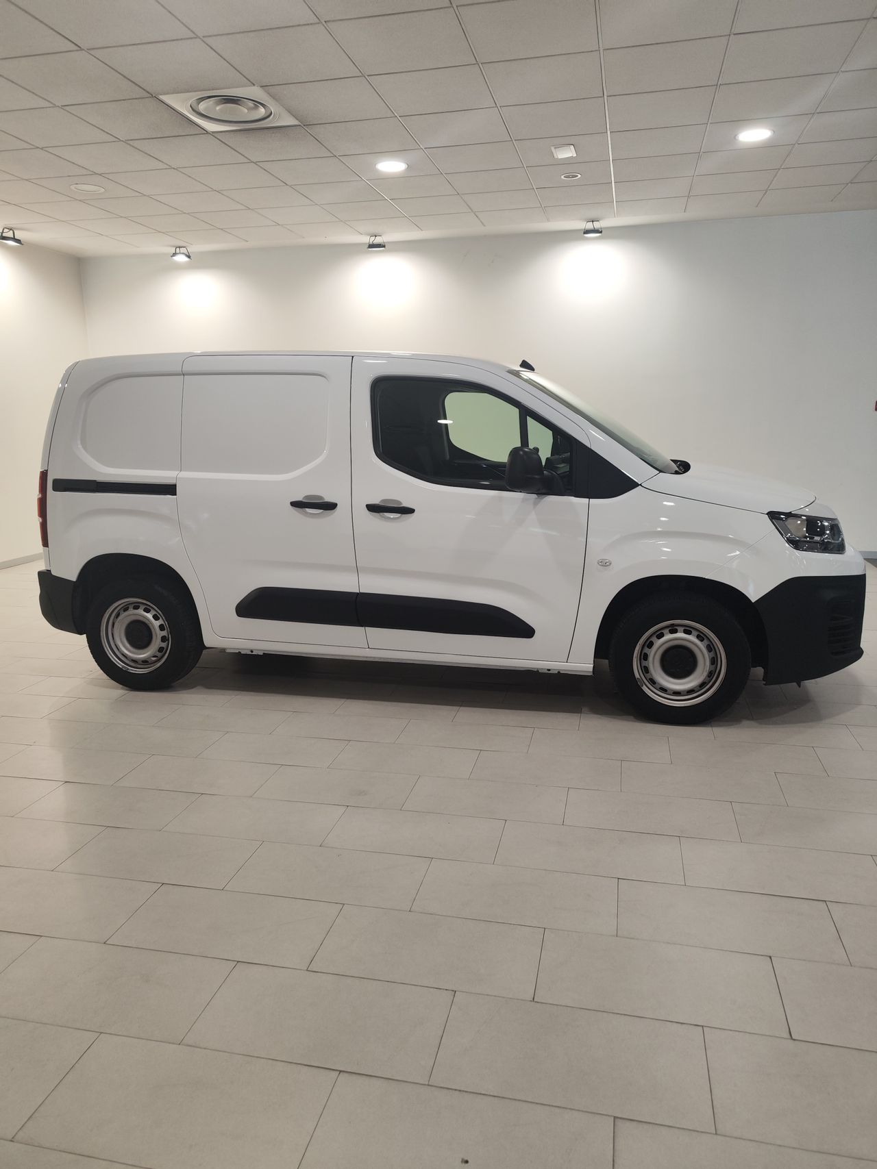 Foto Citroën Berlingo  Furgon 3