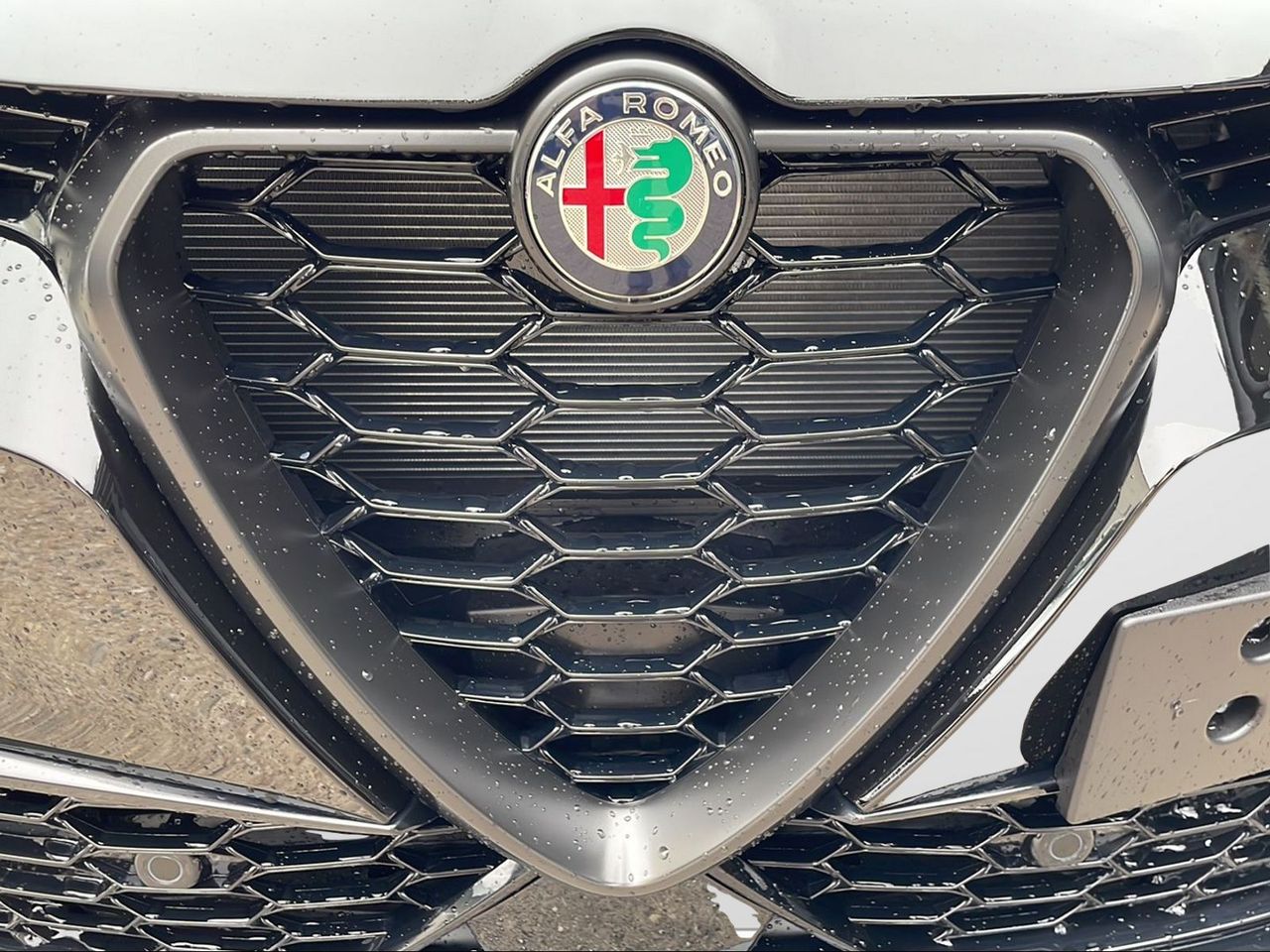 Foto Alfa Romeo Tonale 7