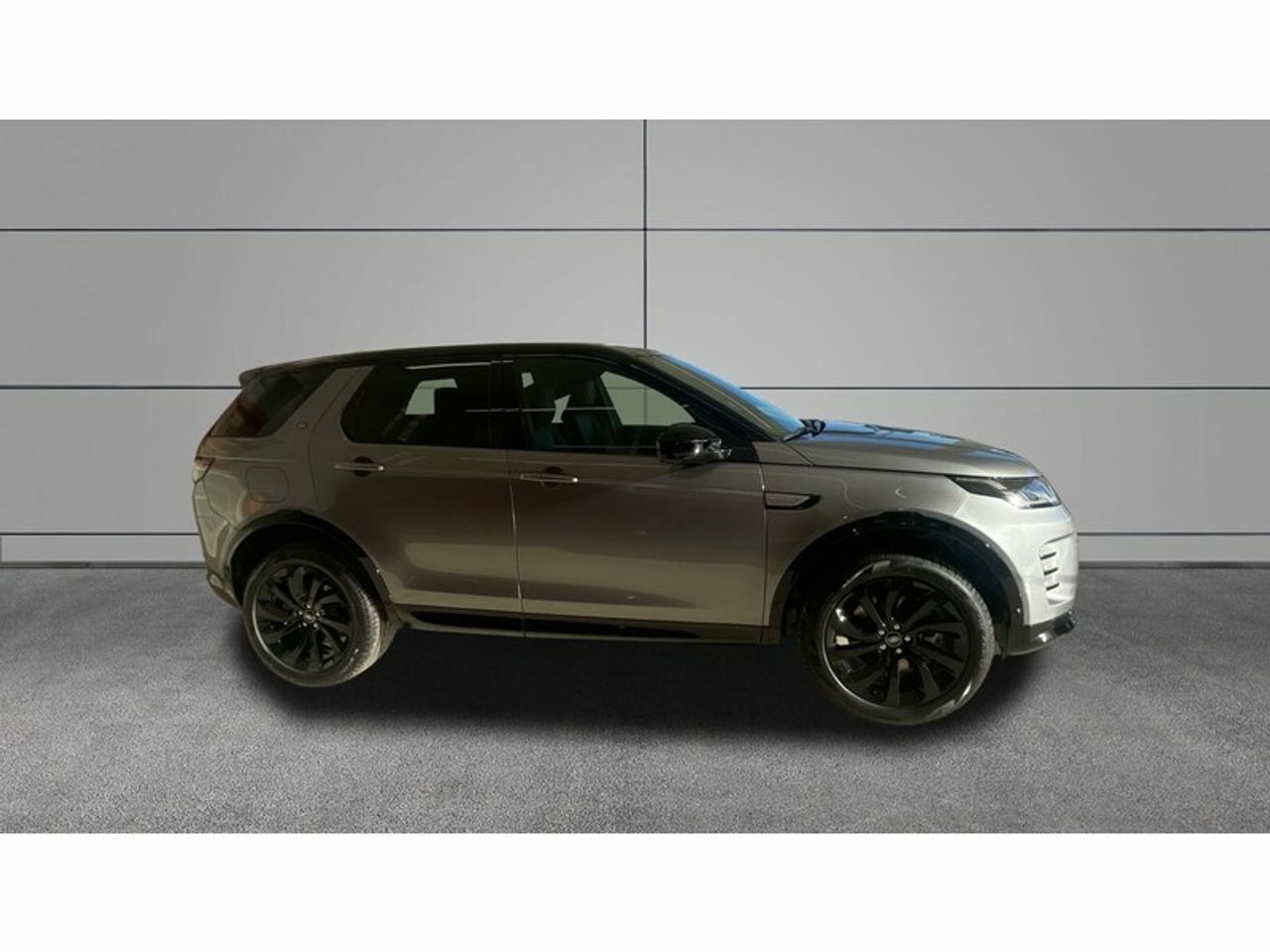 Foto Land-Rover Discovery Sport 3