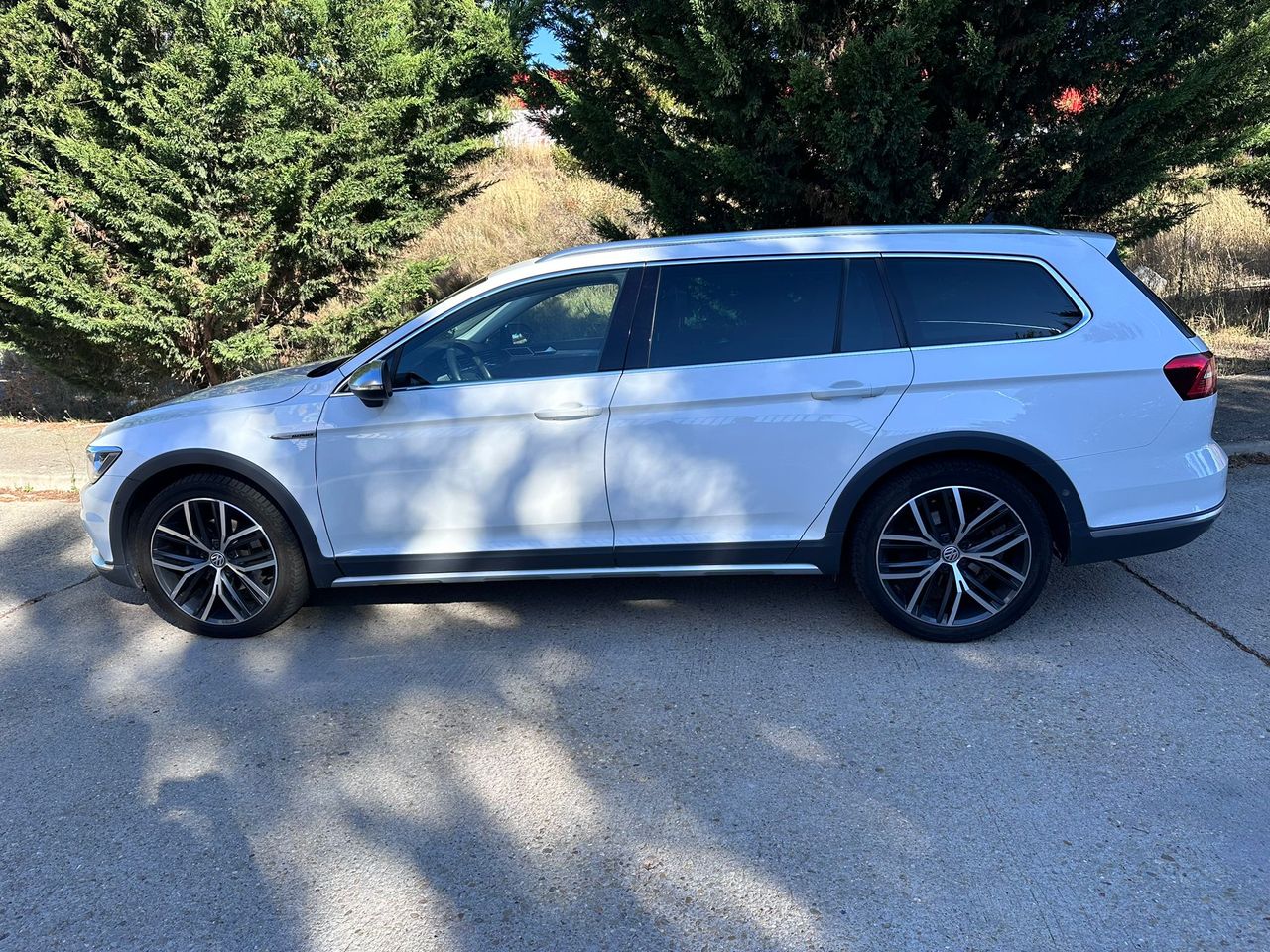 Foto Volkswagen Passat Alltrack 12