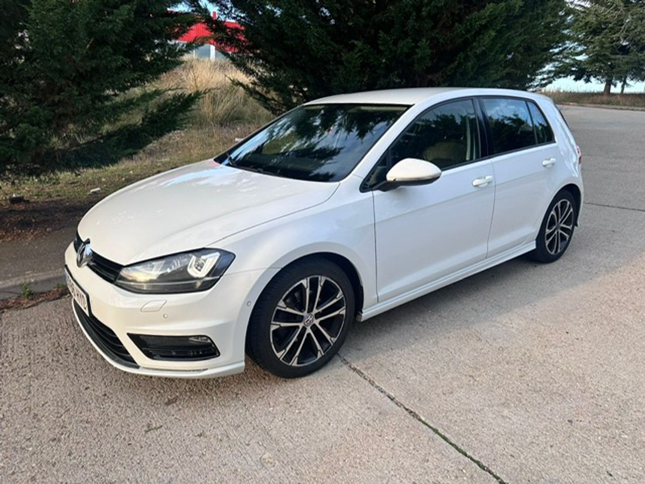 Foto Volkswagen Golf 25