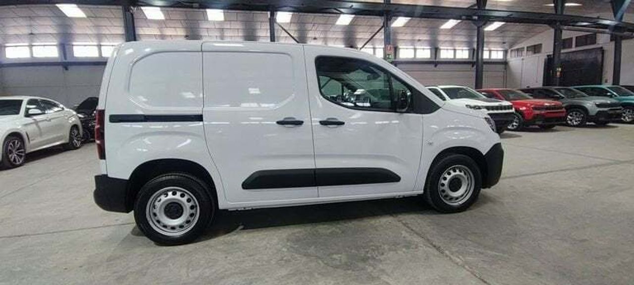 Foto Fiat Doblo 9