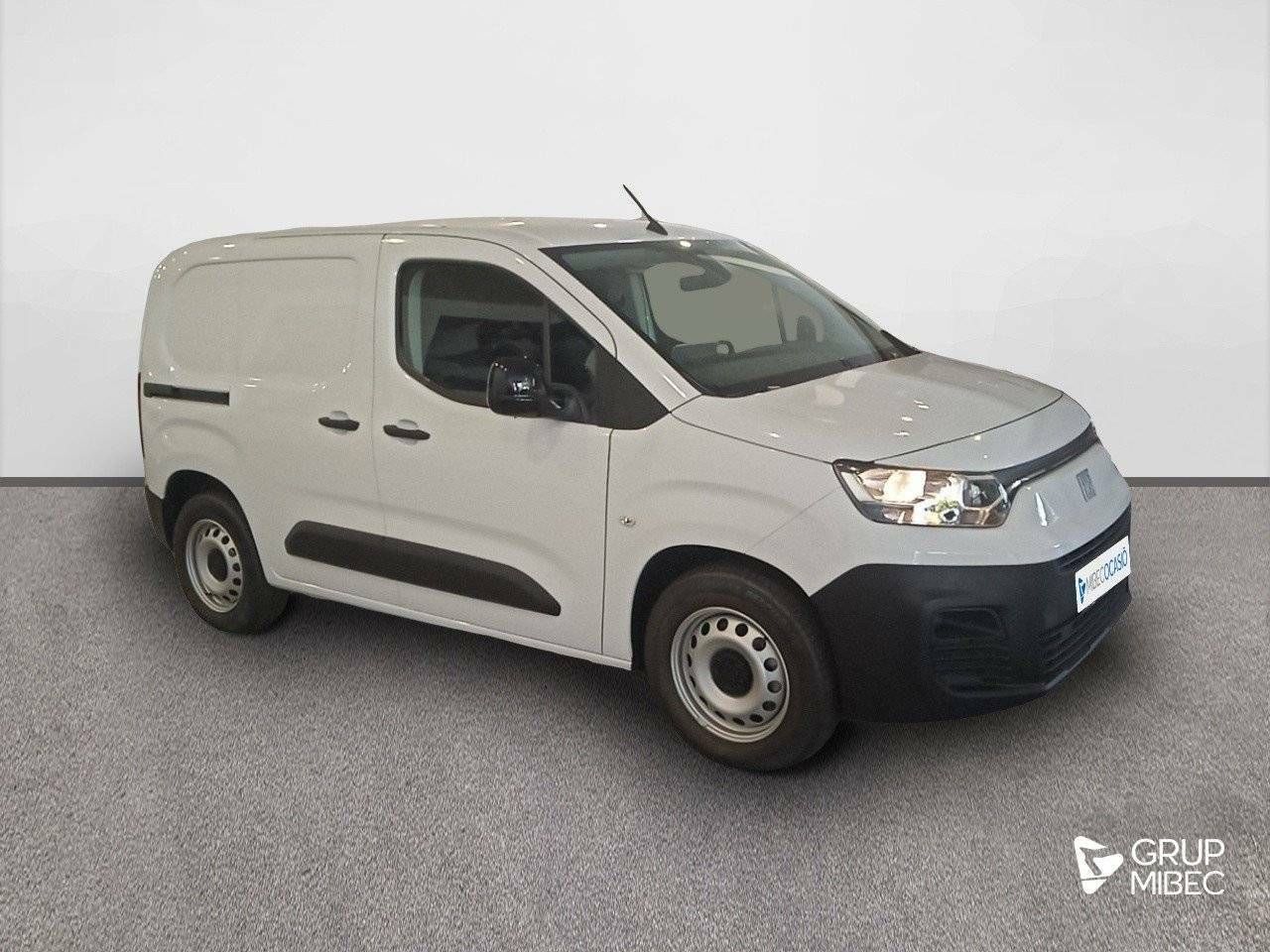 Foto Fiat Doblo 3