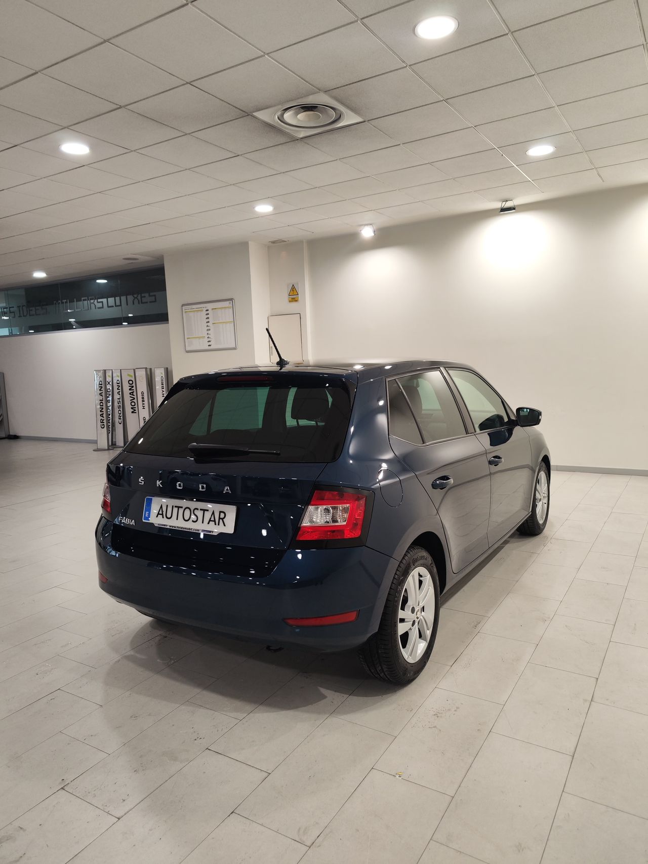 Foto Skoda Fabia 19