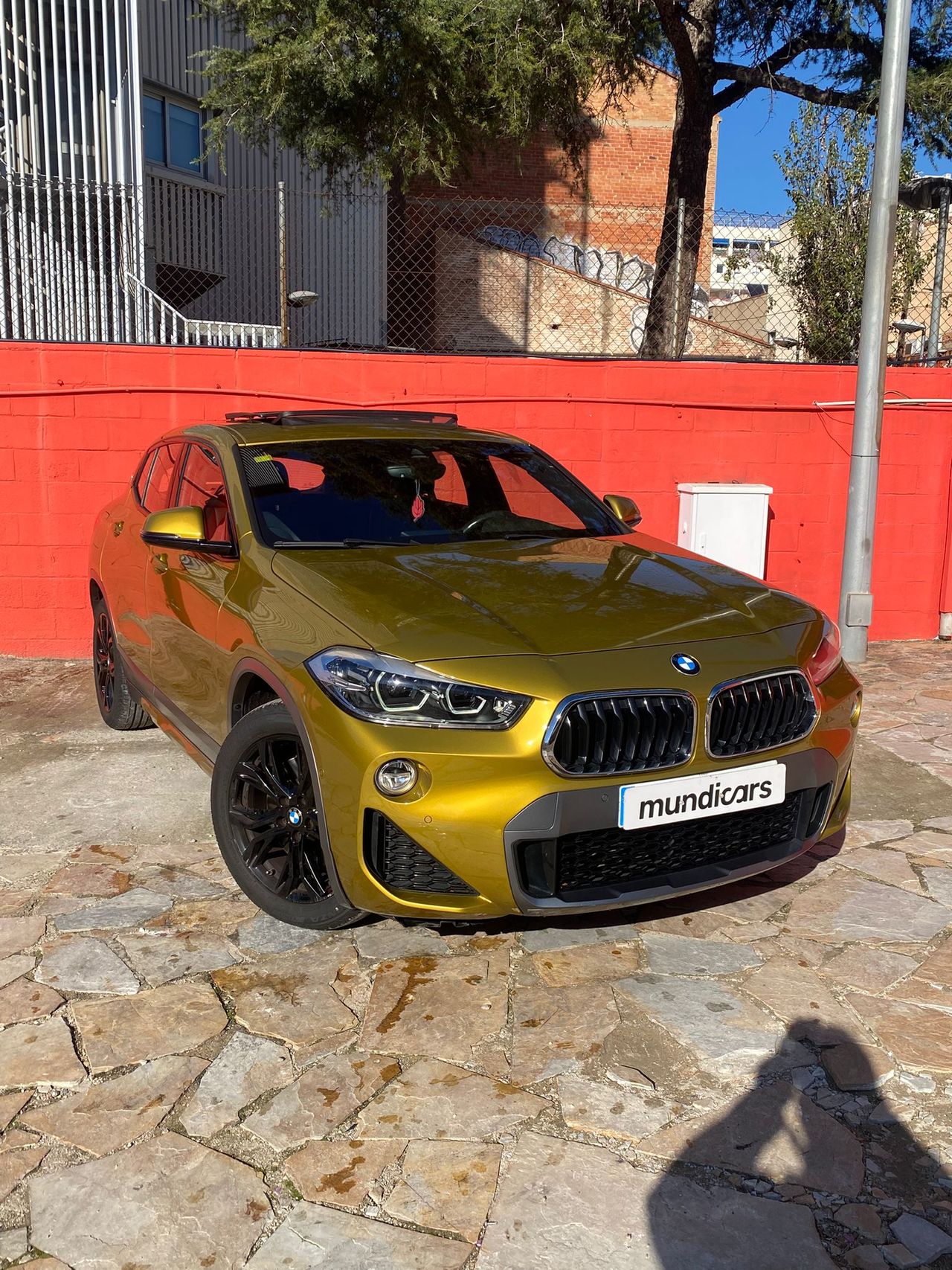 Foto BMW X2 3