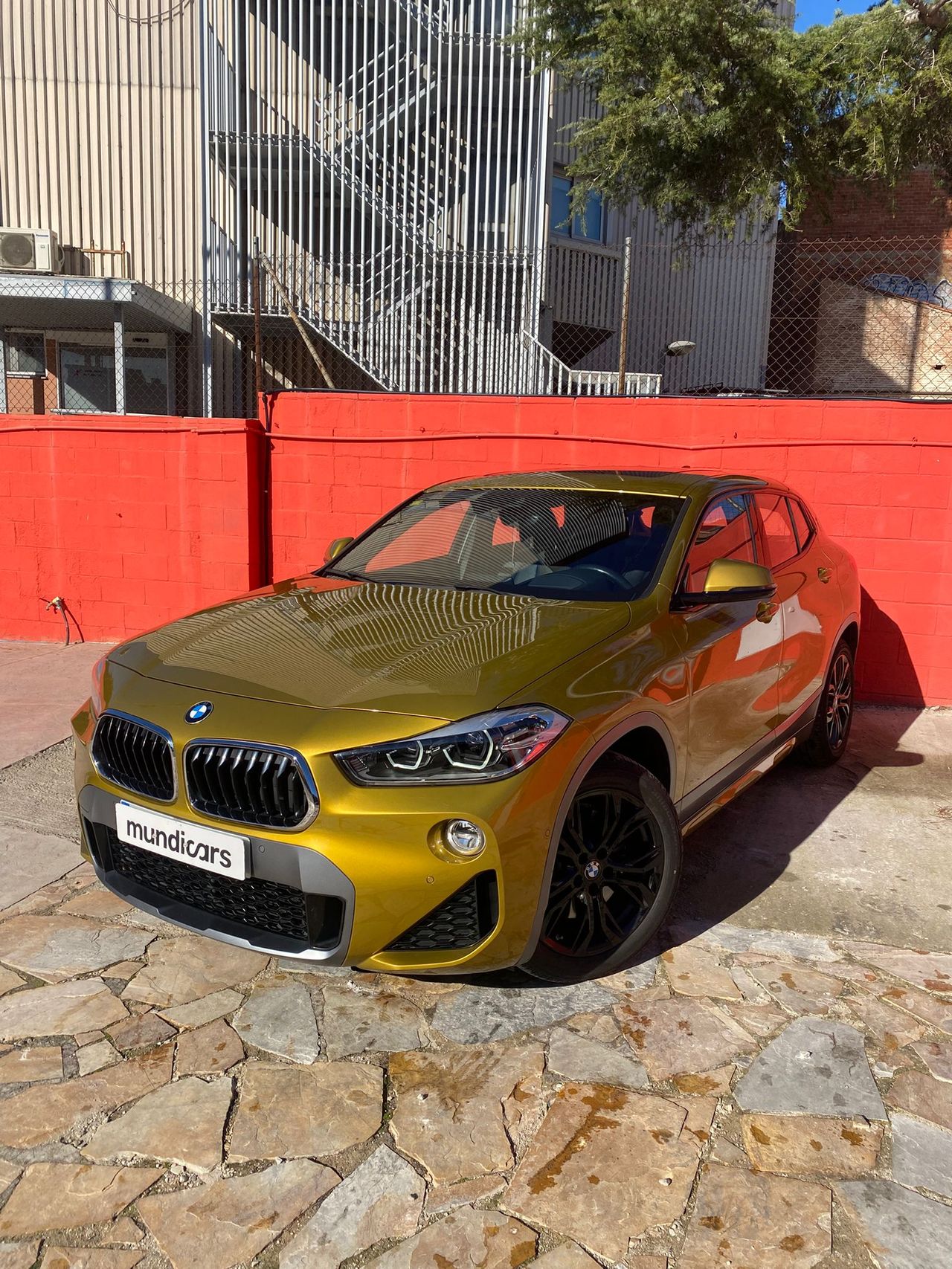 Foto BMW X2 5