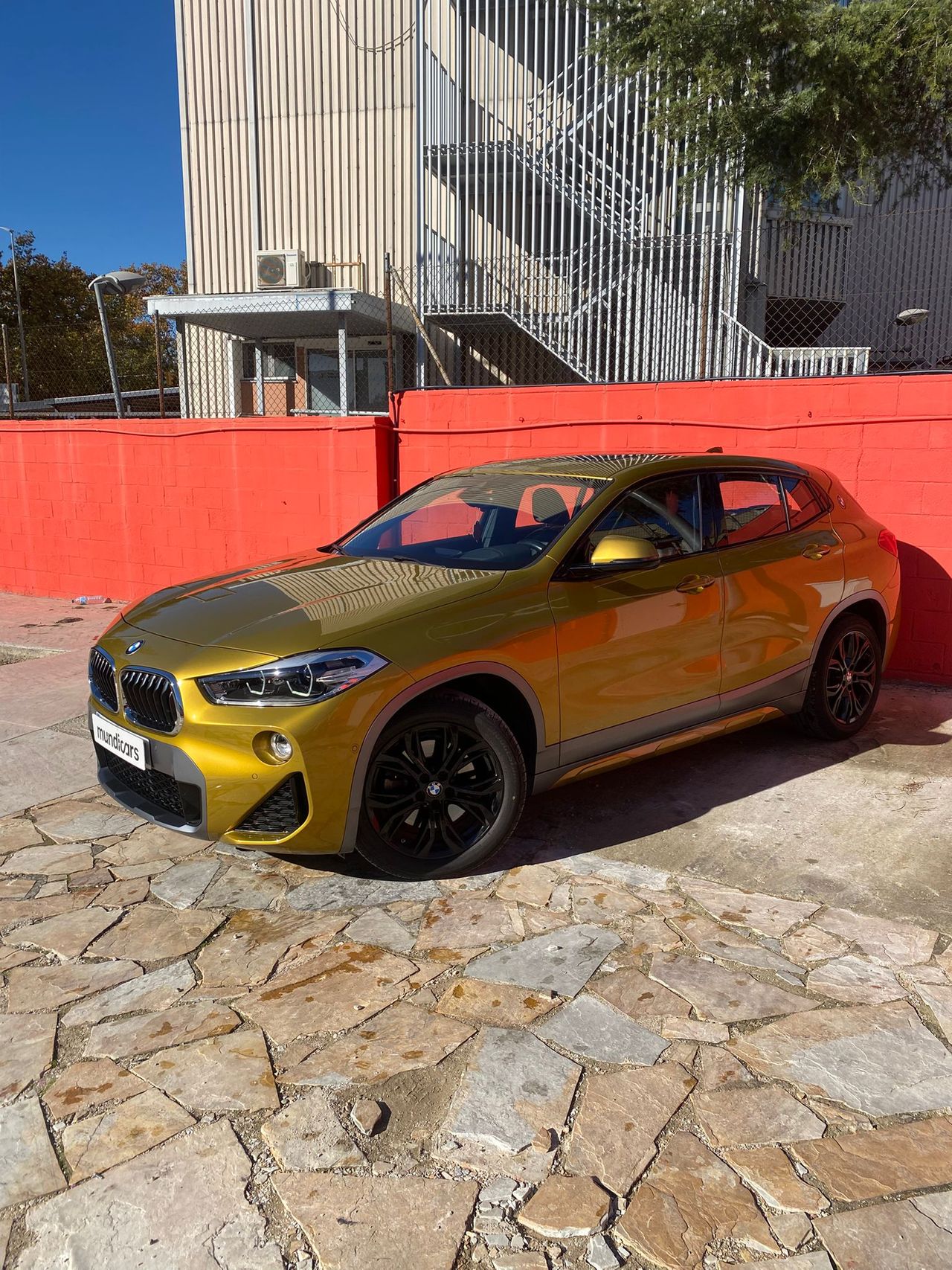 Foto BMW X2 4