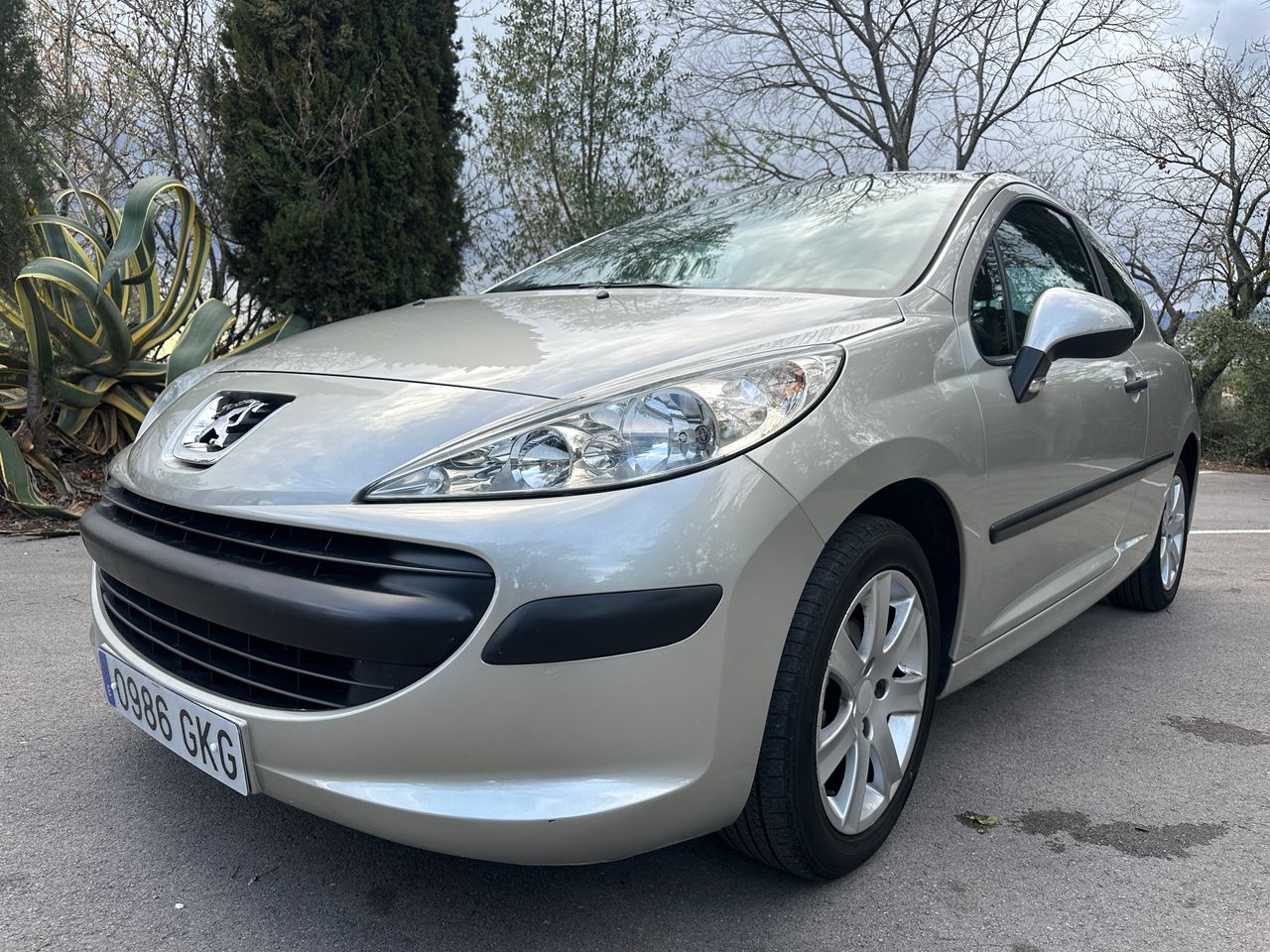 Foto Peugeot 207 1