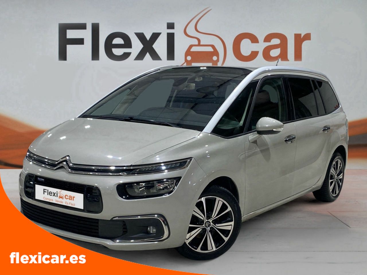 Foto Citroën Grand C4 Picasso 3