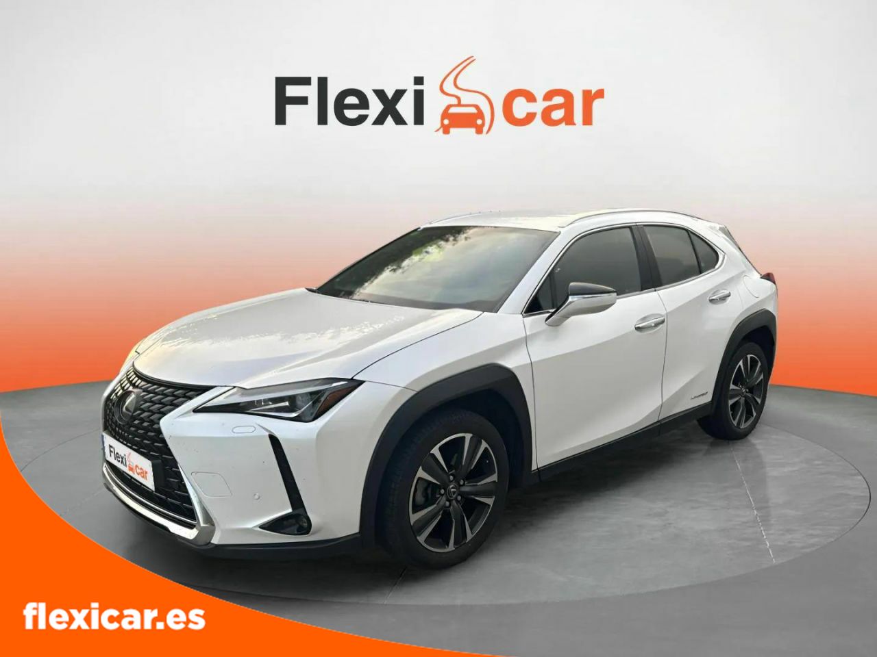 Foto Lexus UX 15