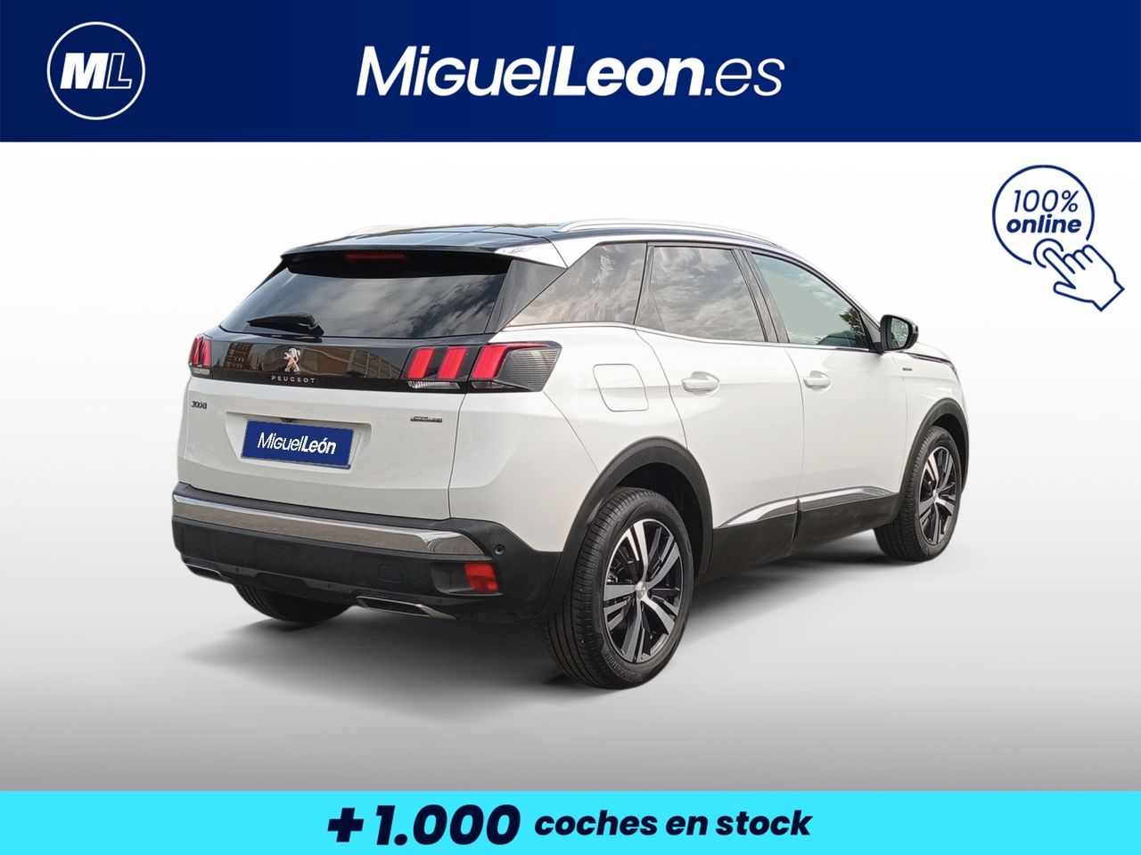 Foto Peugeot 3008 5