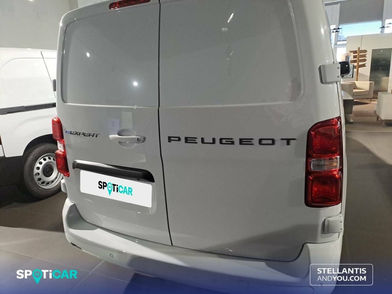 Foto Peugeot Expert 5