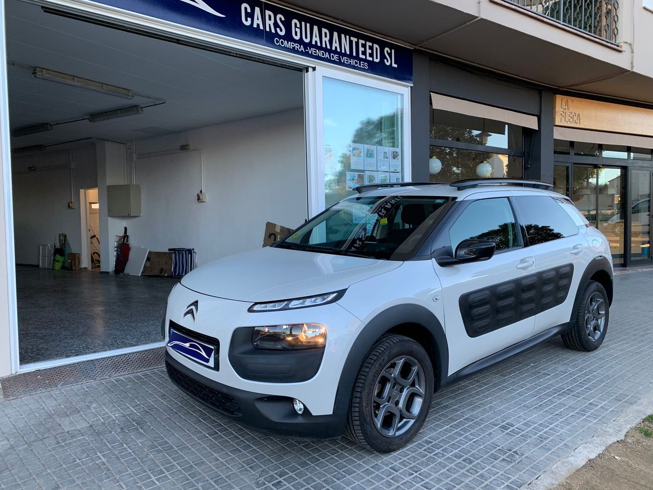 Foto Citroën C4 Cactus 13