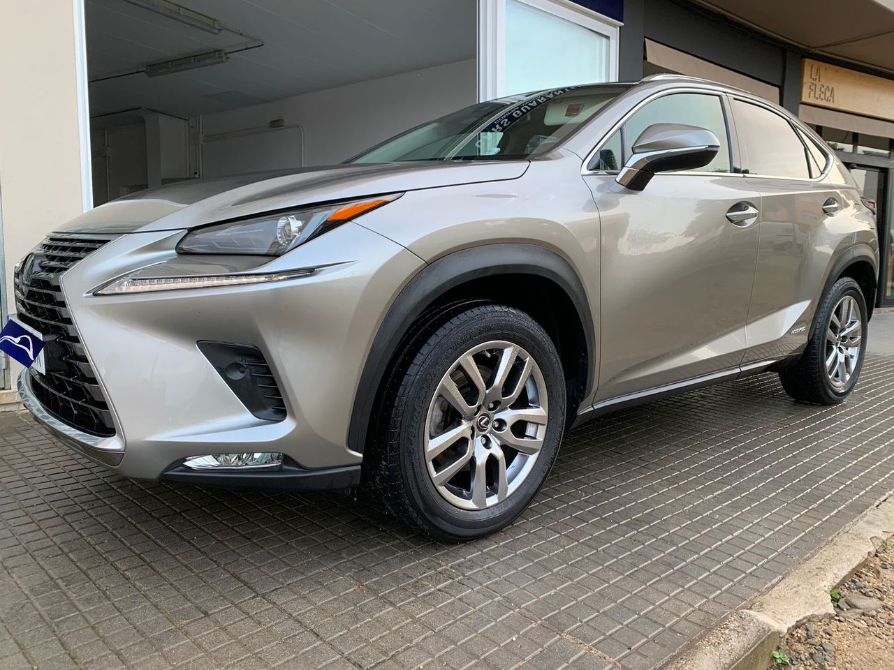 Foto Lexus NX 11