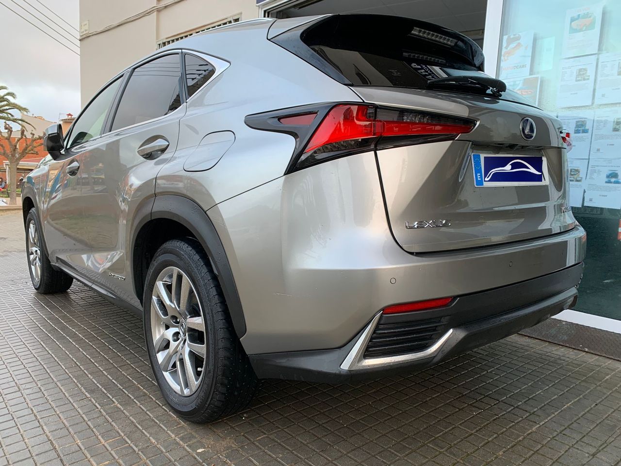 Foto Lexus NX 18