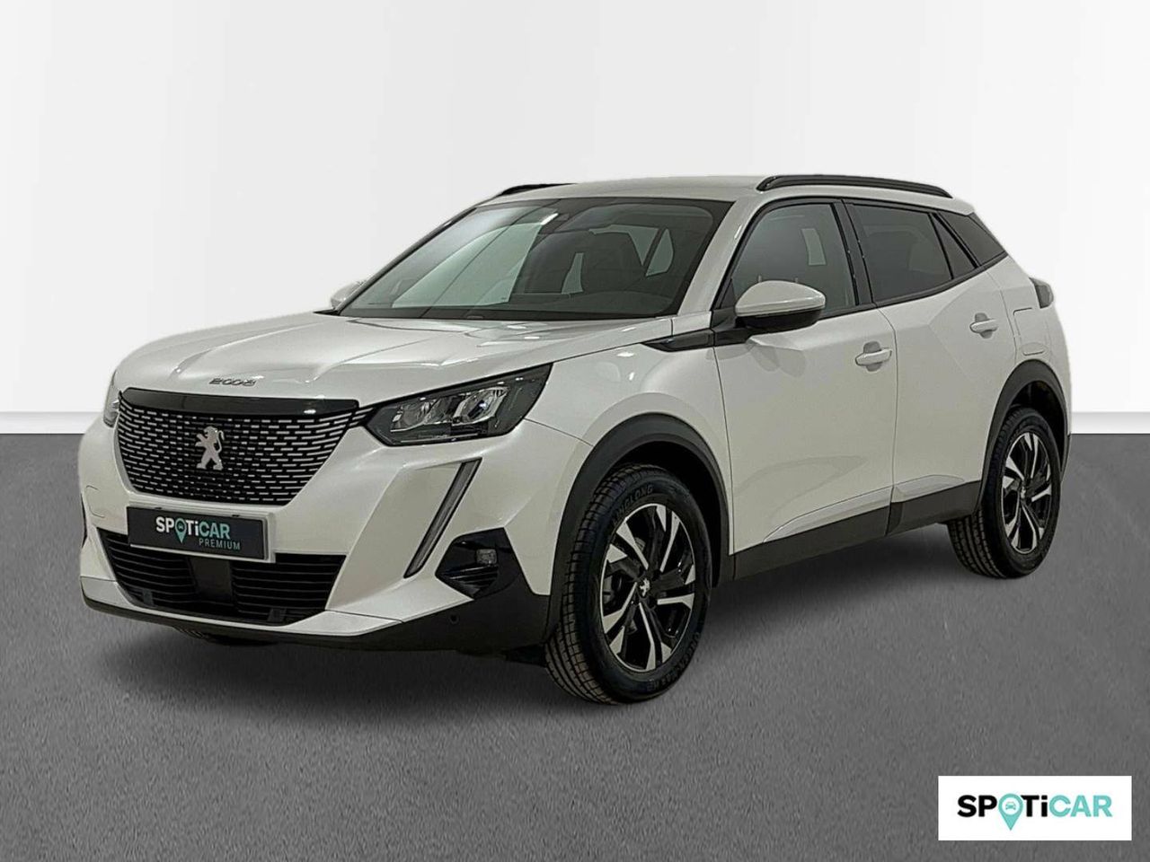 Foto Peugeot 2008 1