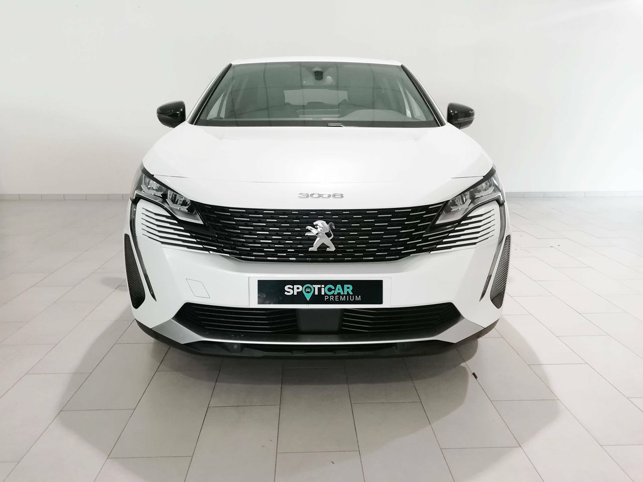 Foto Peugeot 3008 2