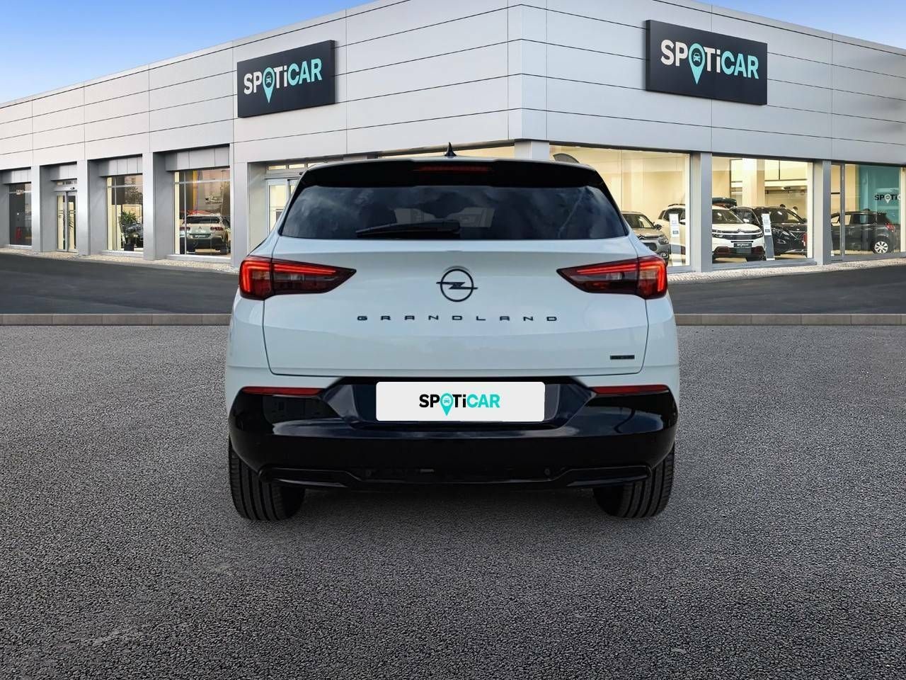 Foto Opel Grandland X 5