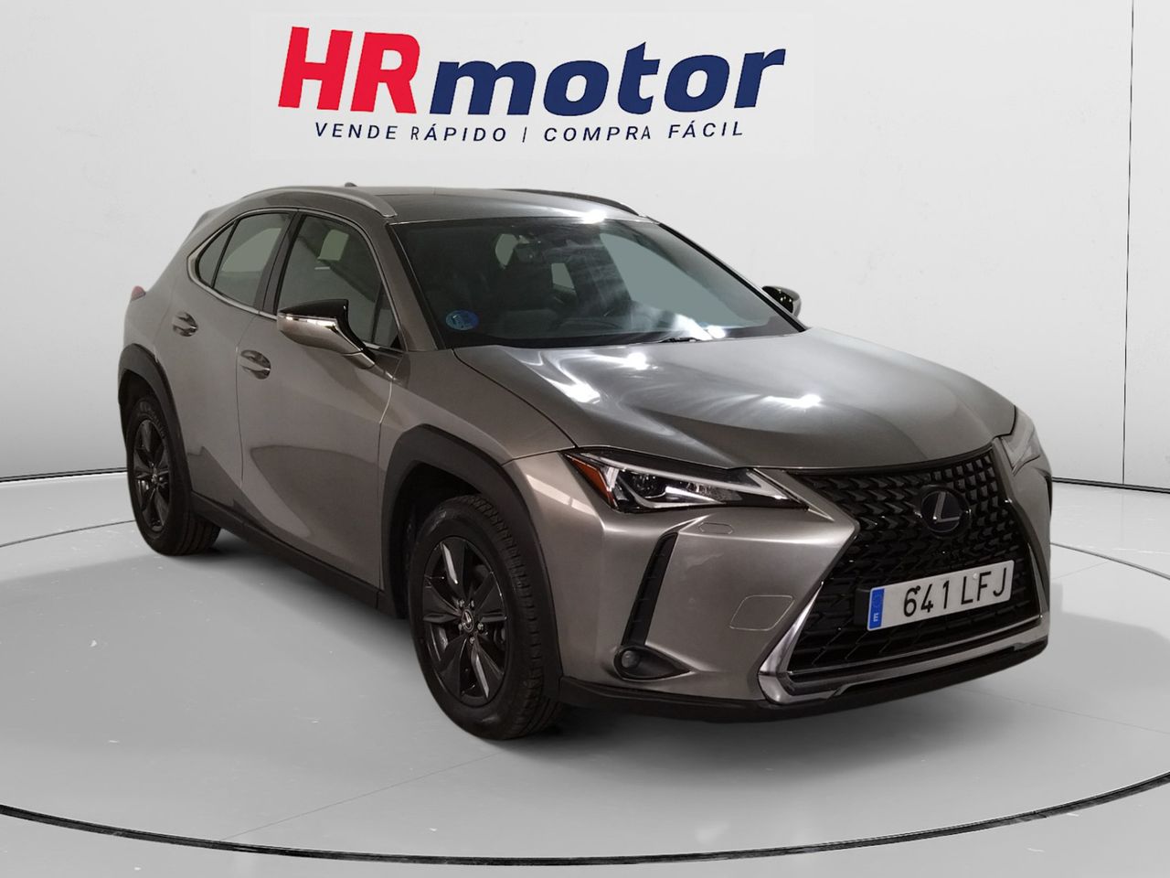 Foto Lexus UX 18