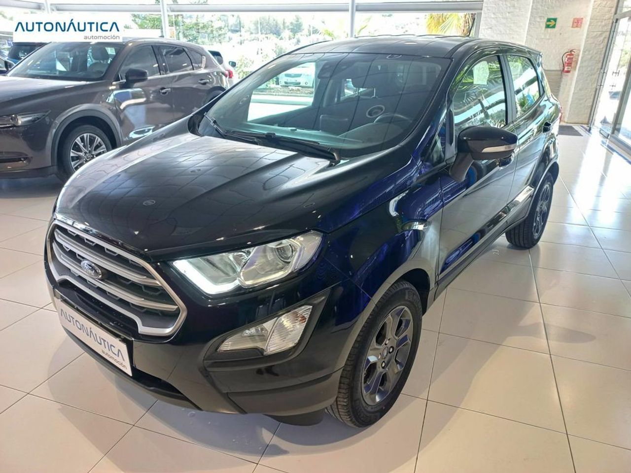 Foto Ford Ecosport 11