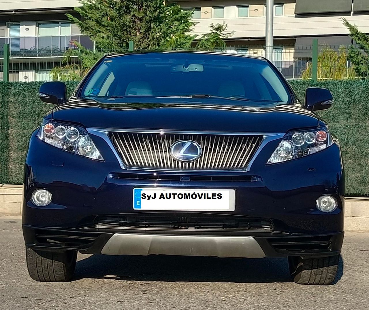 Foto Lexus RX 13