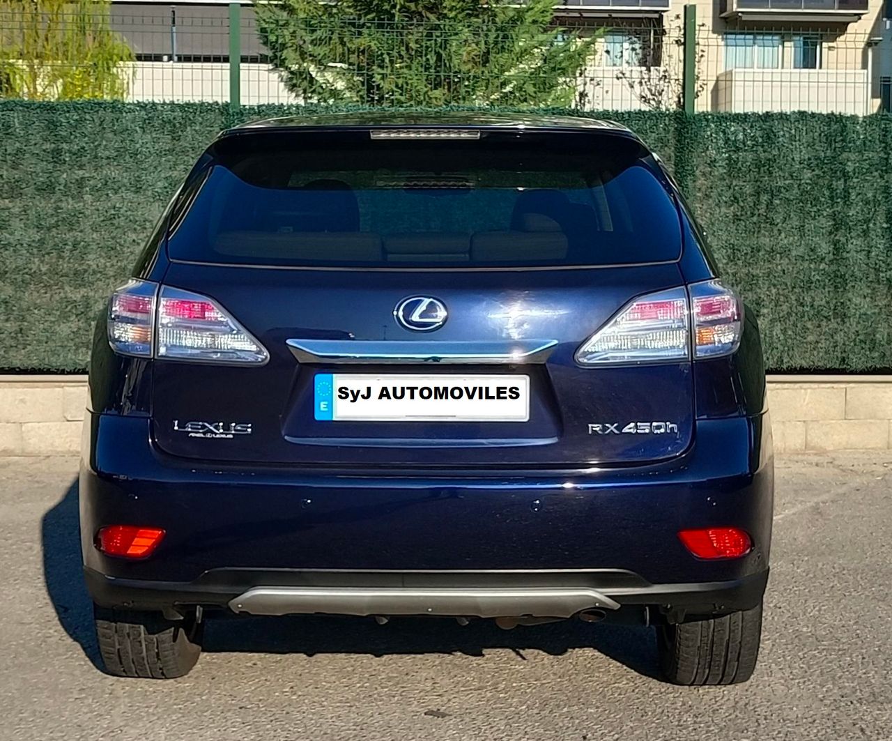 Foto Lexus RX 12