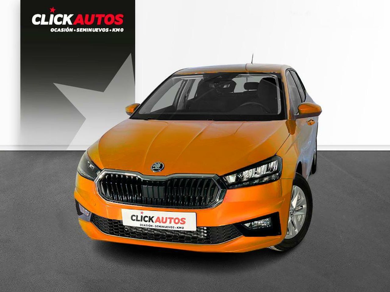 Foto Skoda Fabia 1