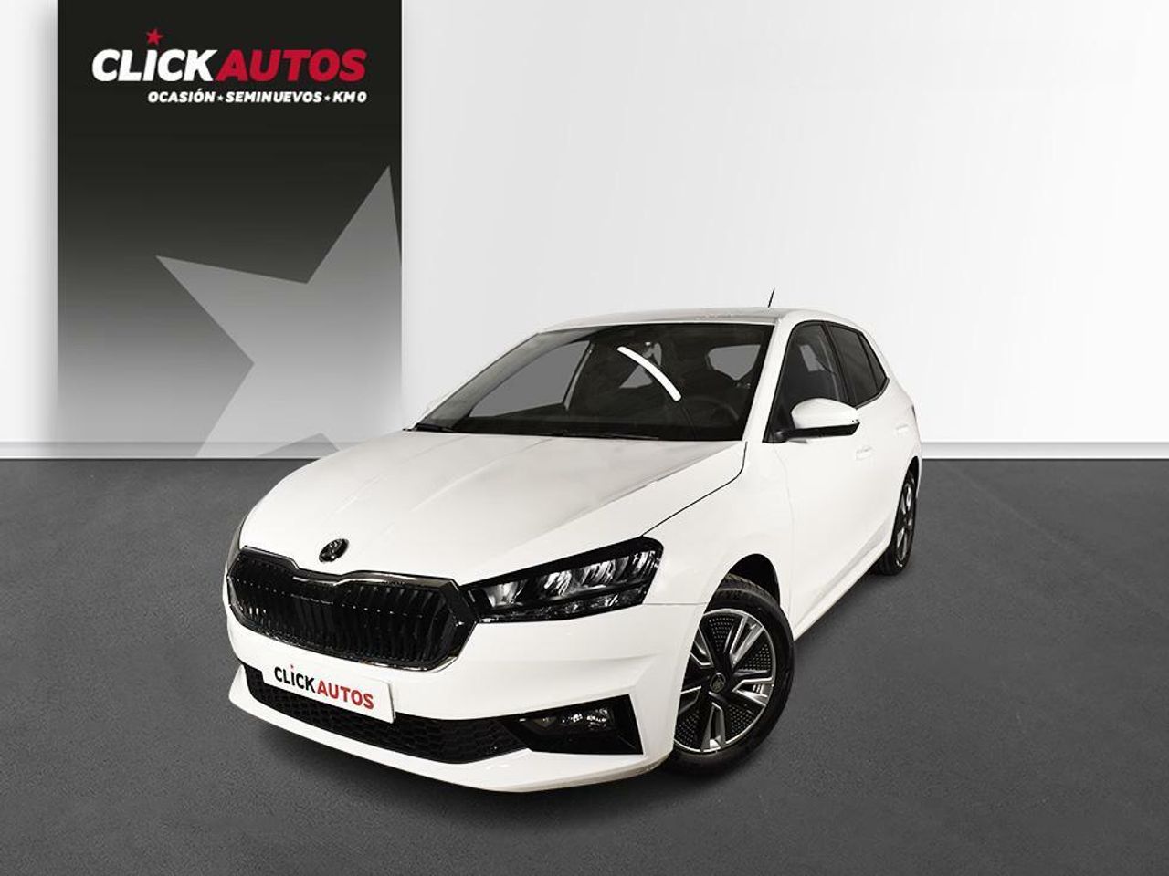 Foto Skoda Fabia 1