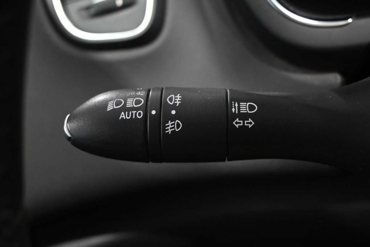 Foto Renault Scénic 21